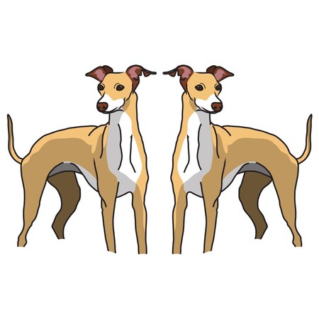 Signmission Whippet Dog Decal, Dog Lover Decor Vinyl Sticker D-24-Whippet